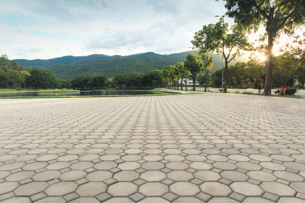 Best Affordable Driveway Pavers  in Palm River Clair Mel, FL