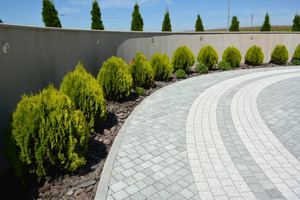 Best Driveway Pavers Near Me  in Palm River Clair Mel, FL